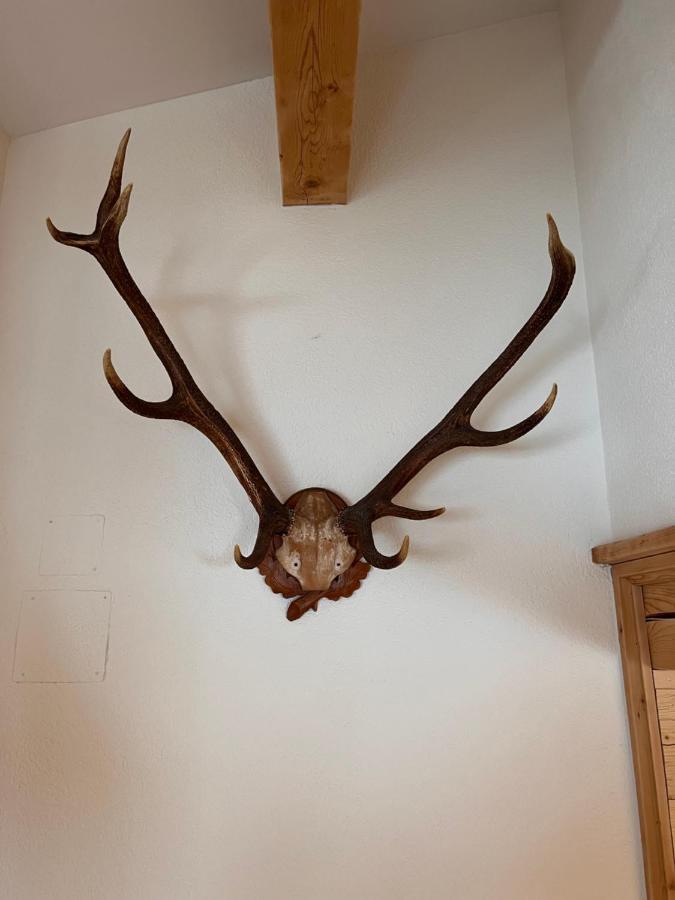 Chalet La Bosch, 7-Persoons Luxe Eigen Woning Met Privetuin Ehrwald Zewnętrze zdjęcie